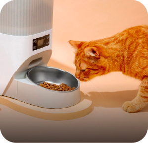 Pet-Supplies